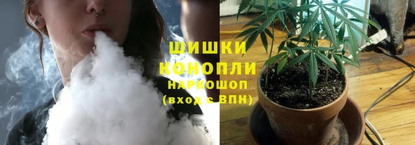 ГАЛЛЮЦИНОГЕННЫЕ ГРИБЫ Лабытнанги