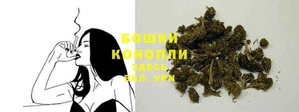 ПСИЛОЦИБИНОВЫЕ ГРИБЫ Лихославль