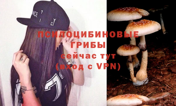 соль курить ск Лагань