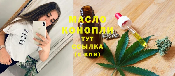 хмурый Лиски