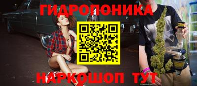 стаф Гусев