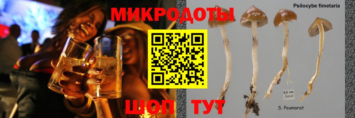 Котельники  Галлюциногенные грибы Magic Shrooms  Вход с VPN 